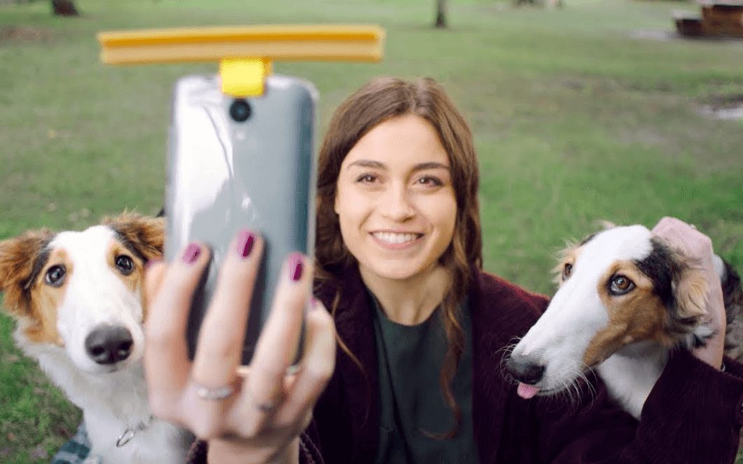 wersm-pedigree-selfiestix-test