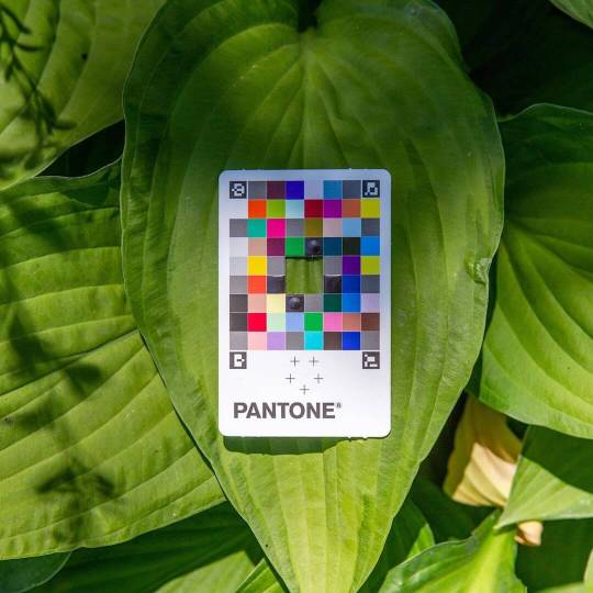 pantone color match card